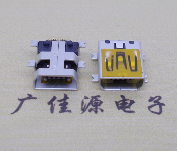 广东迷你USB插座,MiNiUSB母座,10P/全贴片带固定柱母头