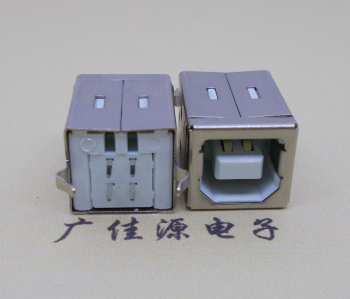 广东USB BF180度母座 打印机接口 立式直插带赛