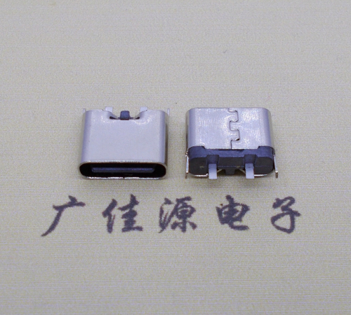 广东铆合式type c2p母座两脚插板尾部带卡扣