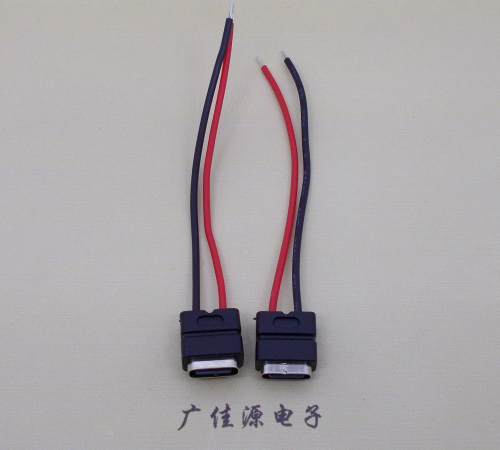 广东type c2p防水母座焊线式带线注塑成型带接线端子/不带接线端子充电连接器