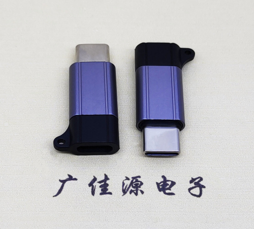 广东Type-C母转Type-C公 USB3.1 PD100W快冲接口